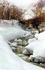 Spring water flowing in the Changbai Mountains.